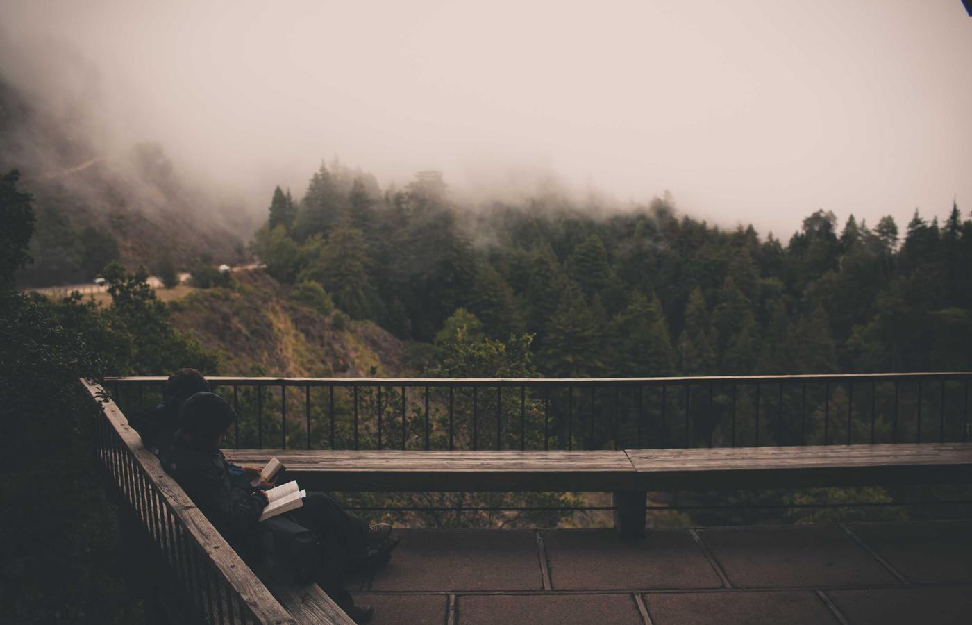 Growth team analyzing social analytics dashboards